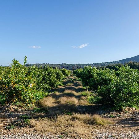 El Limonar De Mallorca - Agroturismo Ballerics Екстериор снимка
